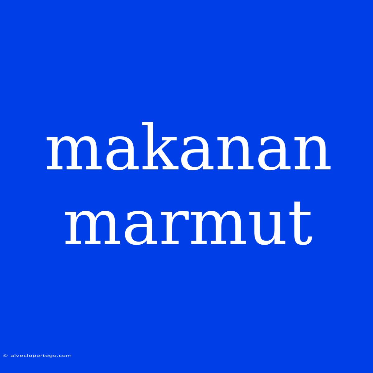 Makanan Marmut