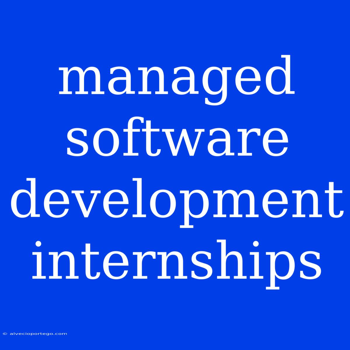 Managed Software Development Internships