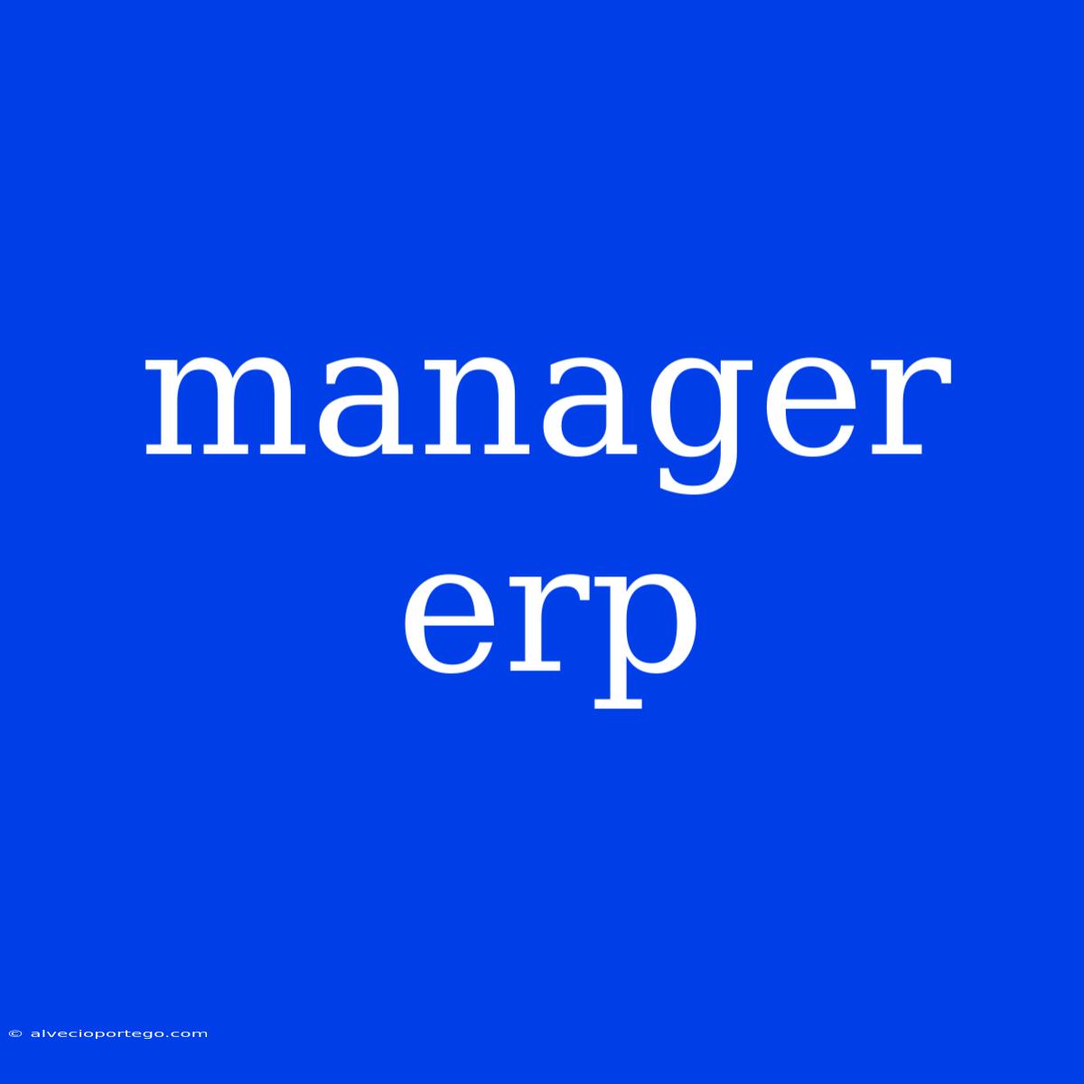 Manager Erp