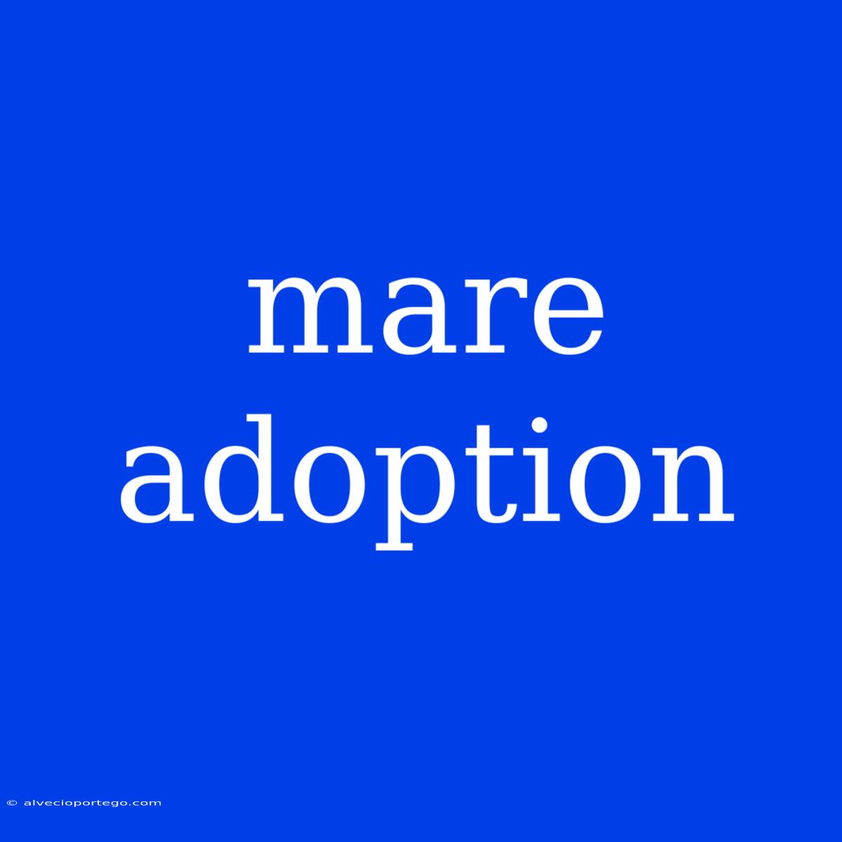 Mare Adoption