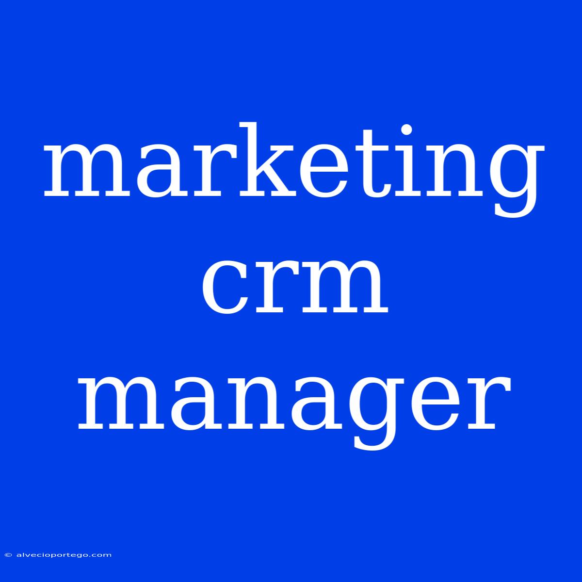 Marketing Crm Manager