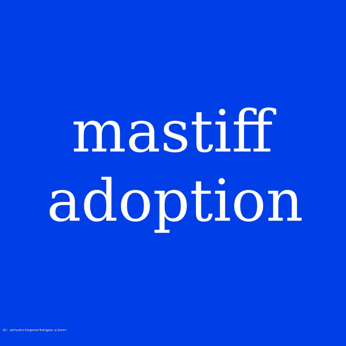 Mastiff Adoption