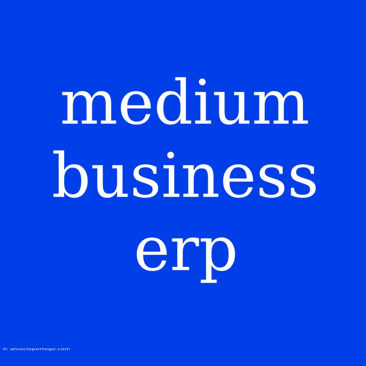 Medium Business Erp