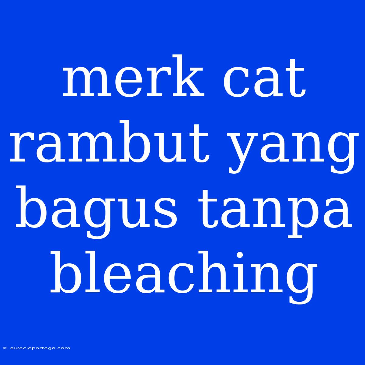 Merk Cat Rambut Yang Bagus Tanpa Bleaching