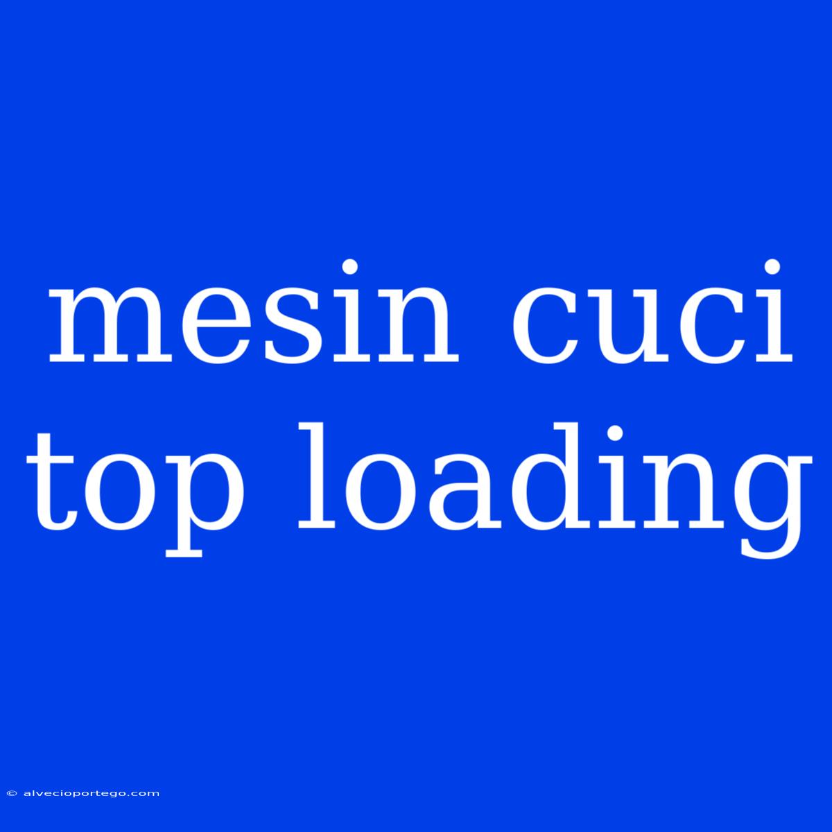 Mesin Cuci Top Loading