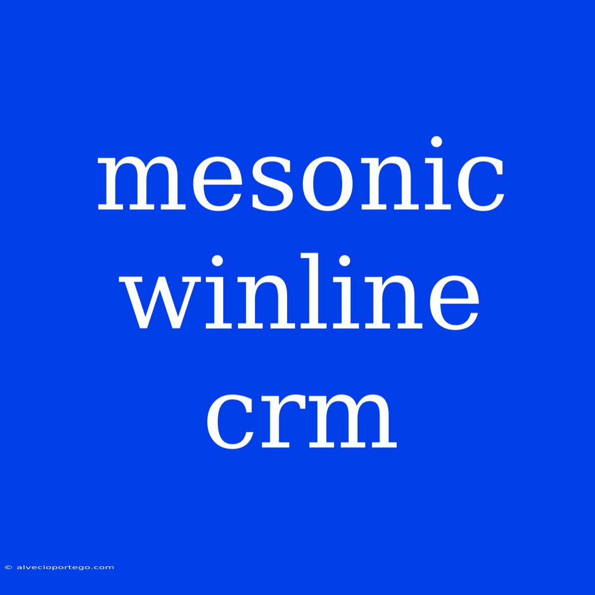 Mesonic Winline Crm