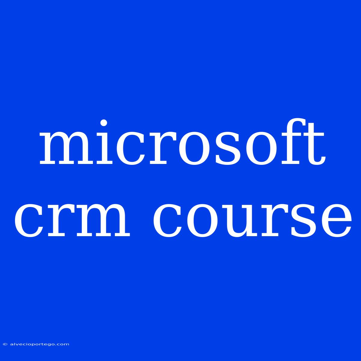 Microsoft Crm Course