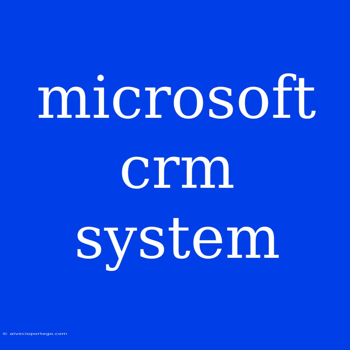 Microsoft Crm System