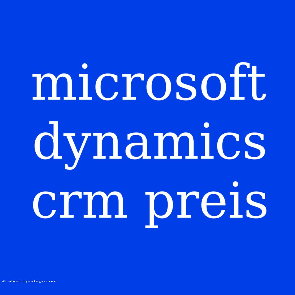 Microsoft Dynamics Crm Preis