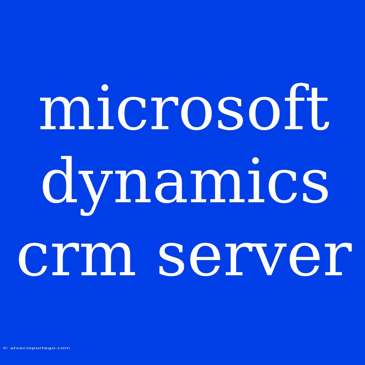 Microsoft Dynamics Crm Server