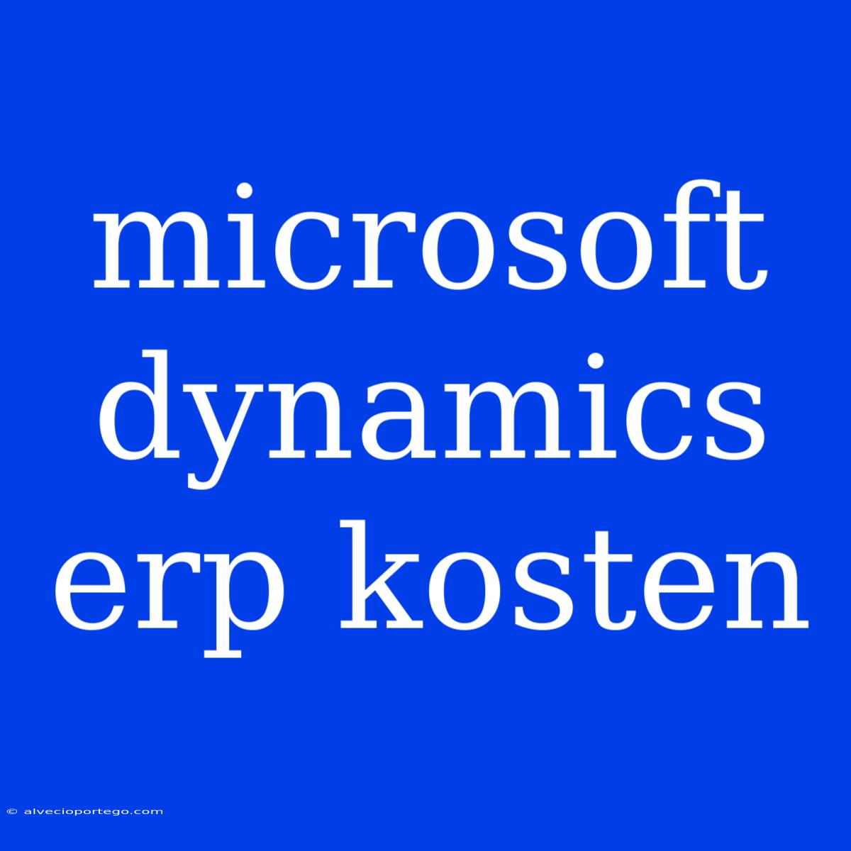 Microsoft Dynamics Erp Kosten