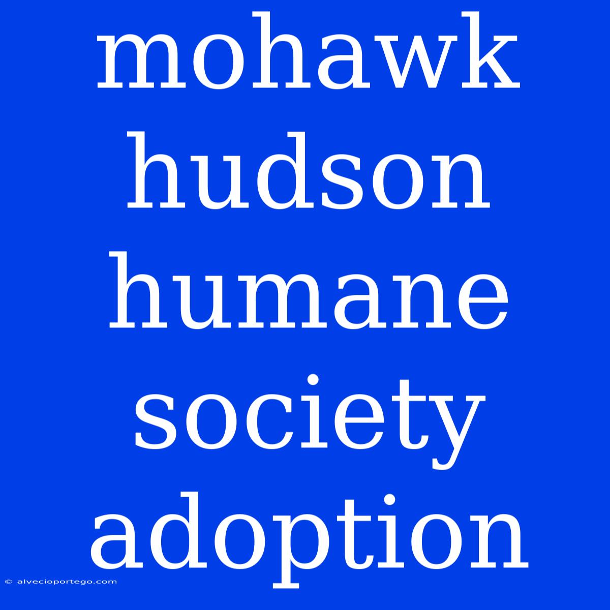 Mohawk Hudson Humane Society Adoption