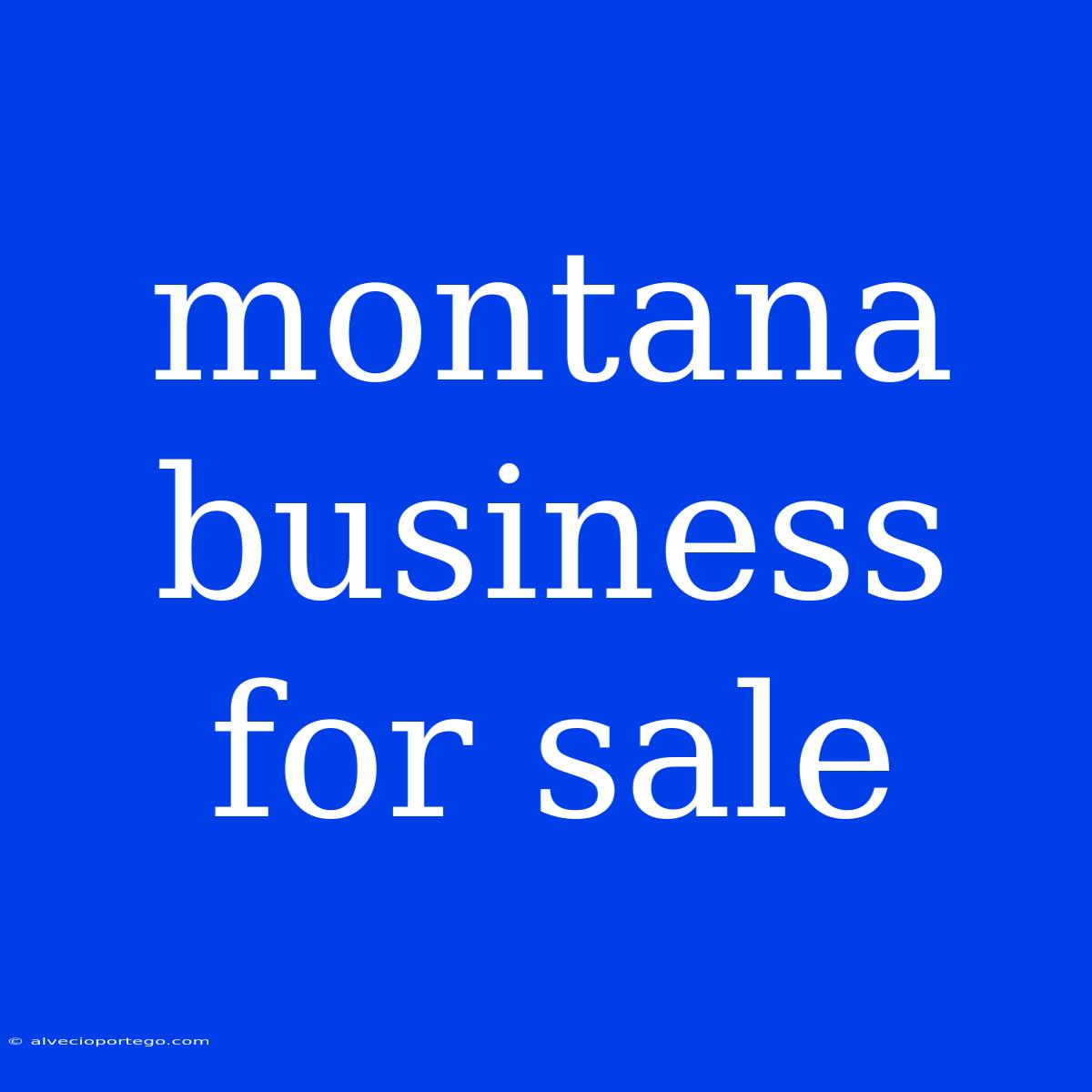 Montana Business For Sale