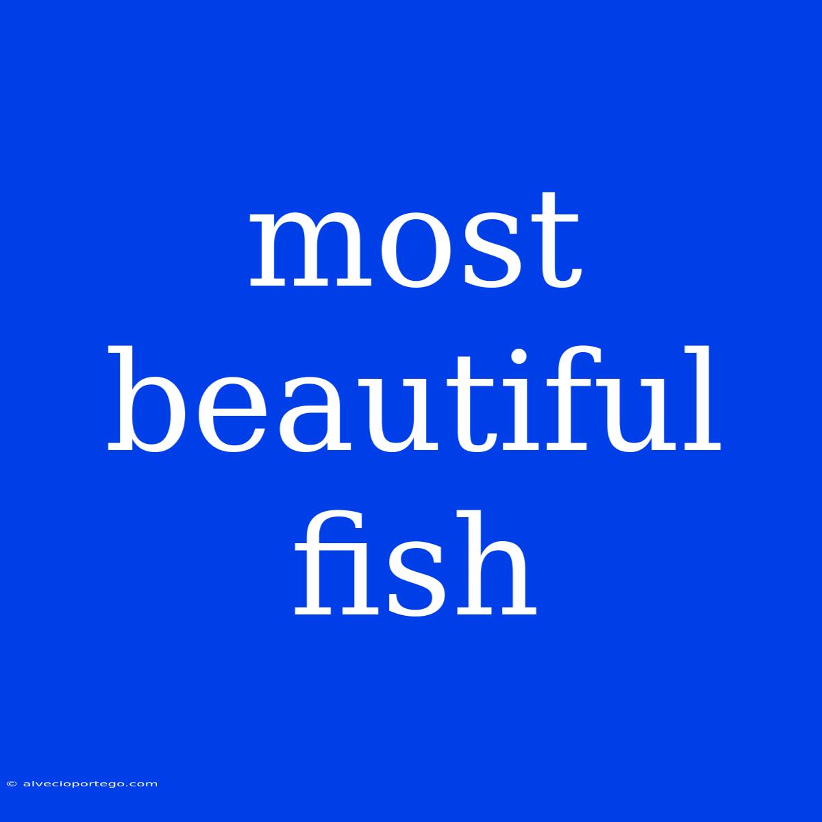 Most Beautiful Fish