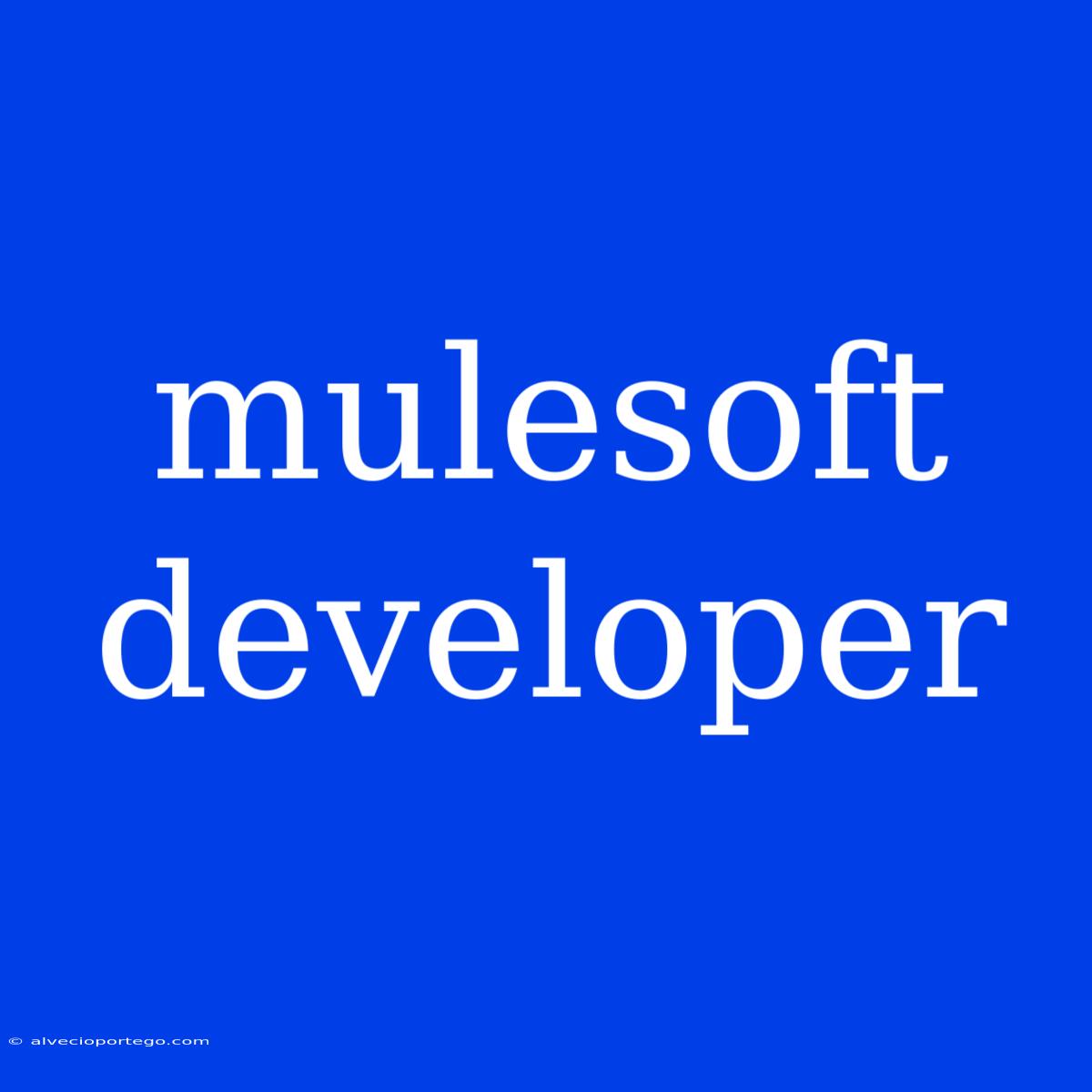 Mulesoft Developer