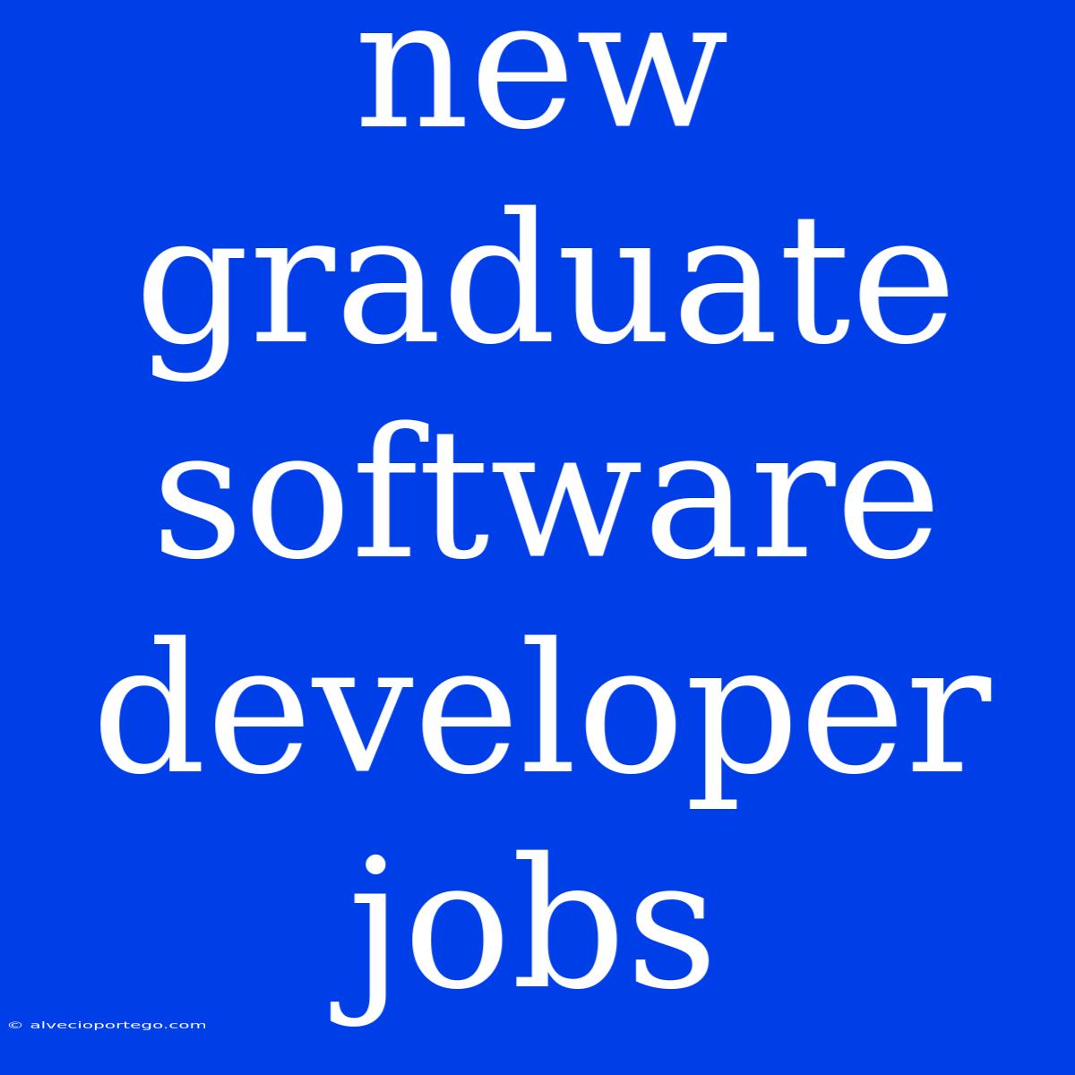 New Graduate Software Developer Jobs