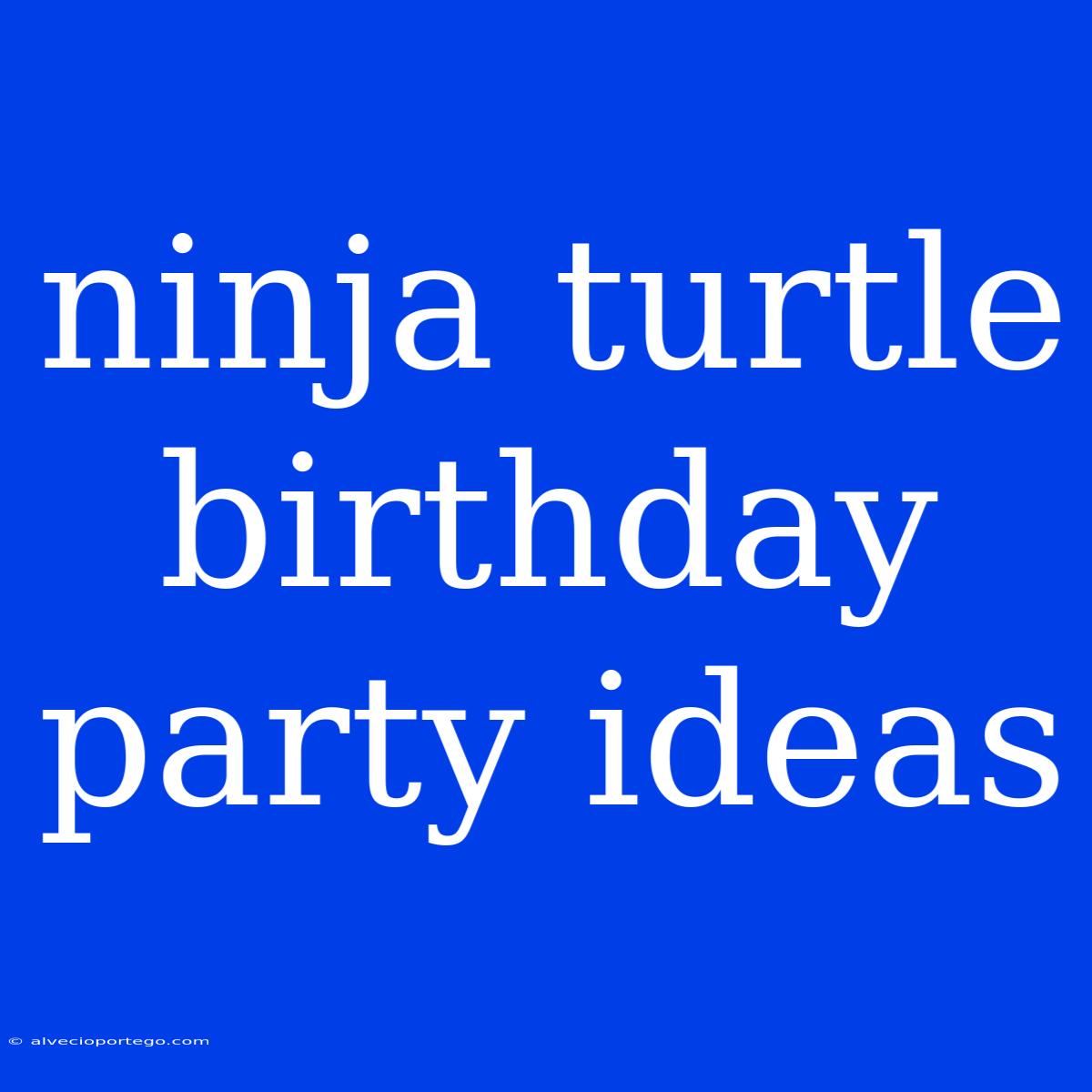 Ninja Turtle Birthday Party Ideas