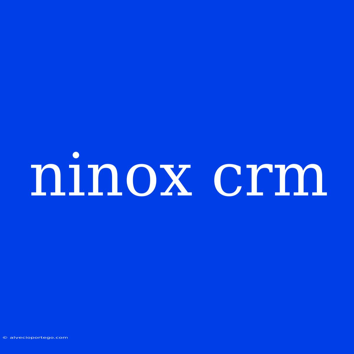 Ninox Crm