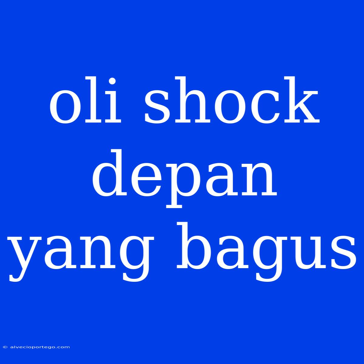 Oli Shock Depan Yang Bagus