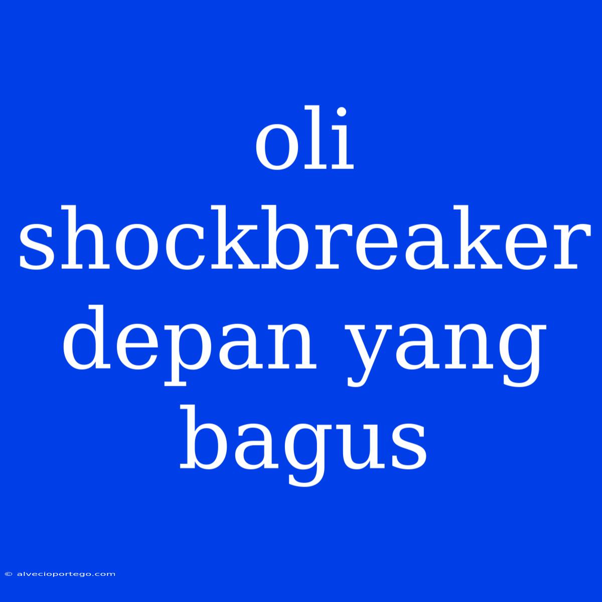 Oli Shockbreaker Depan Yang Bagus