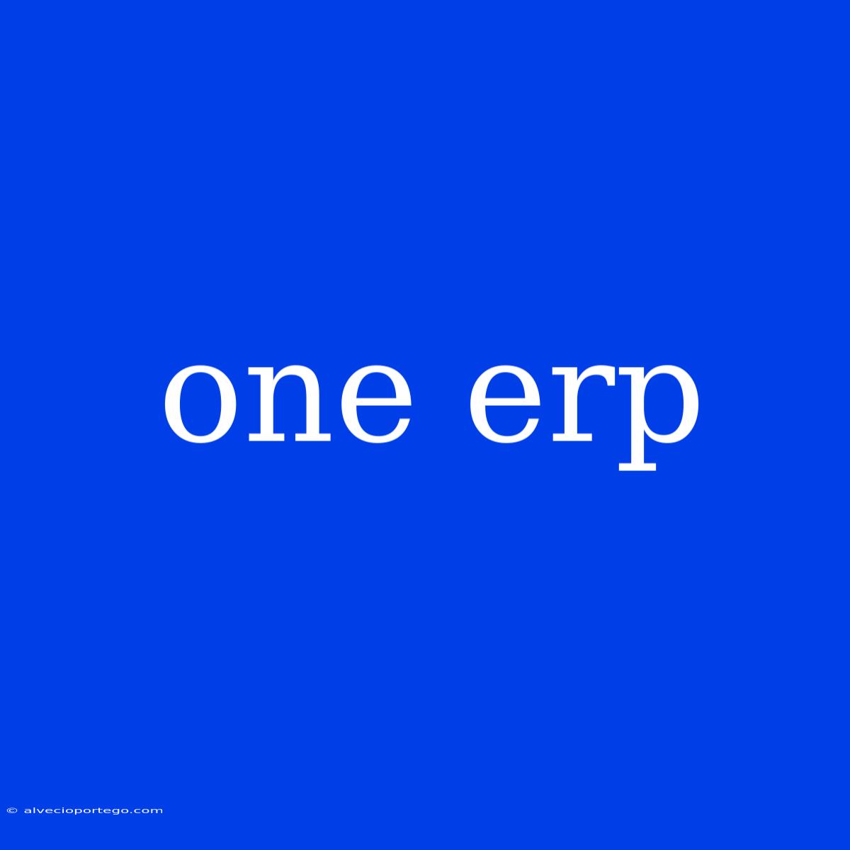 One Erp