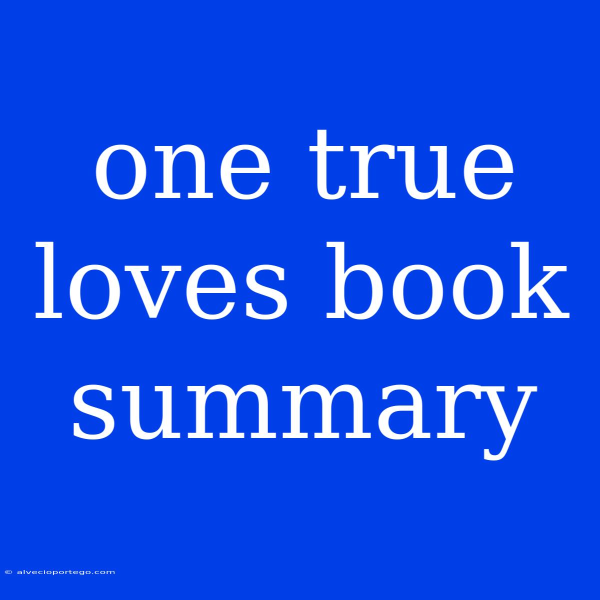 One True Loves Book Summary