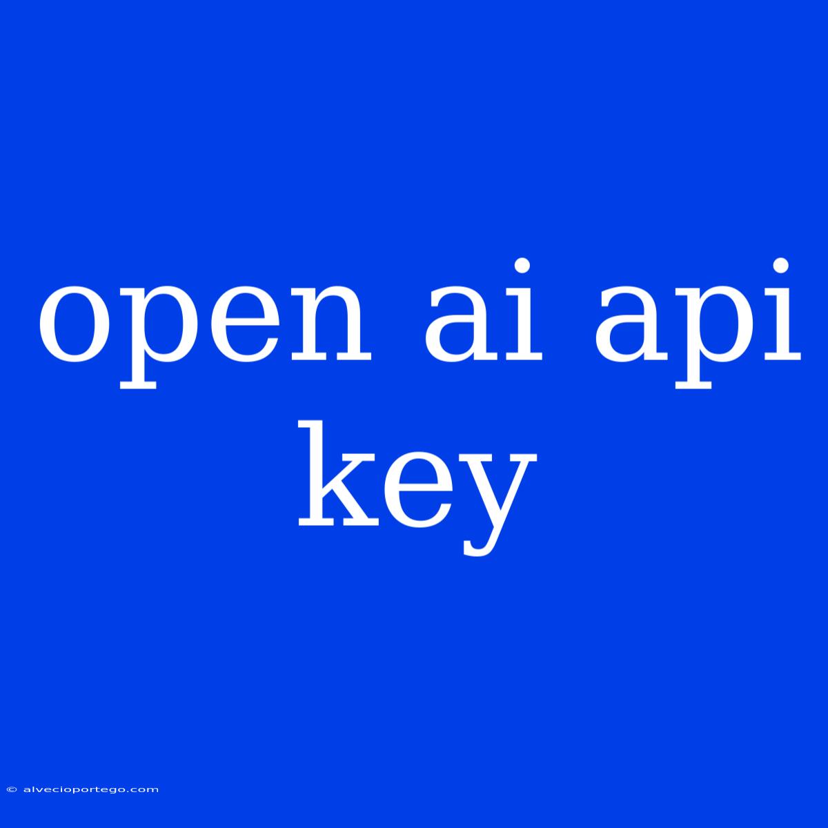 Open Ai Api Key