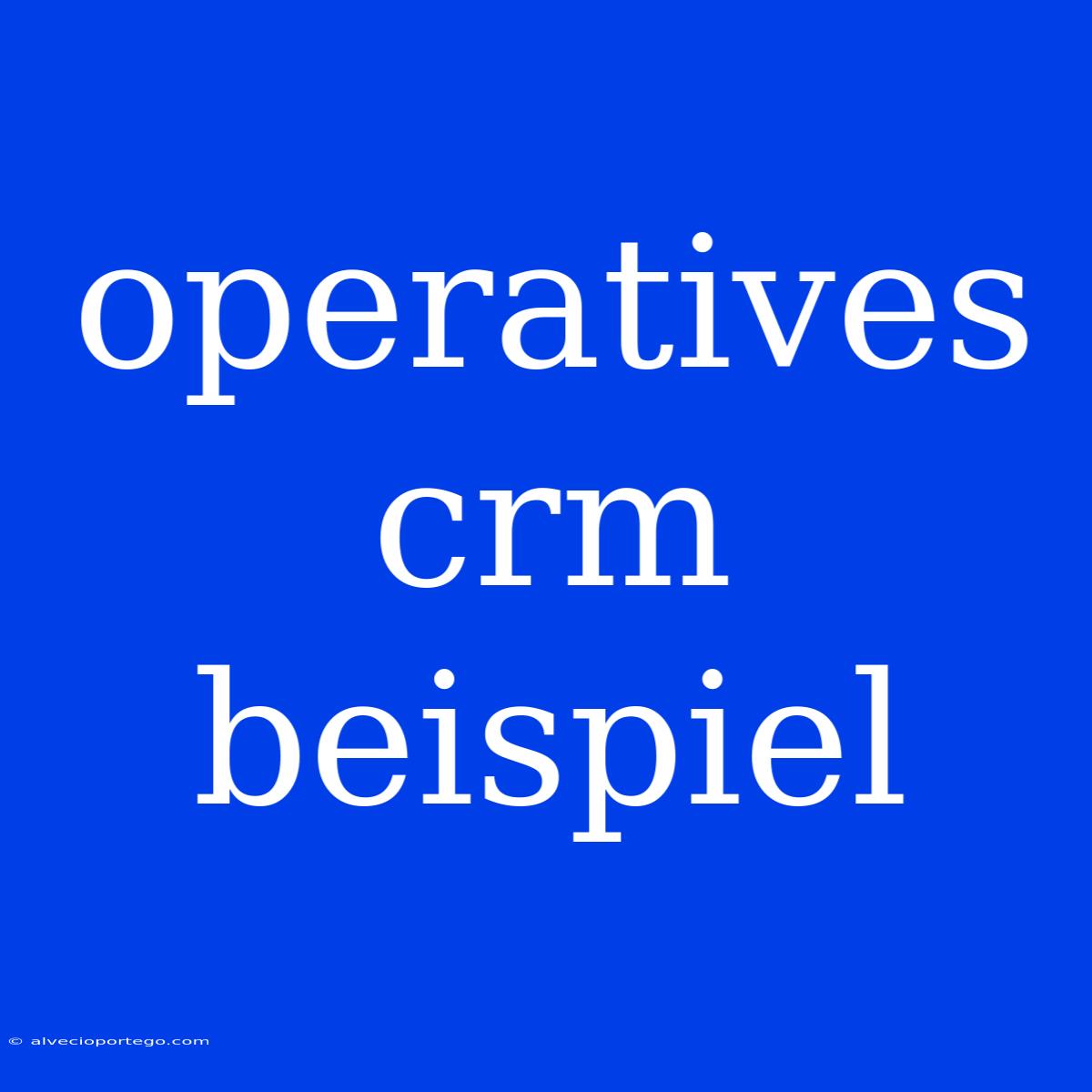 Operatives Crm Beispiel