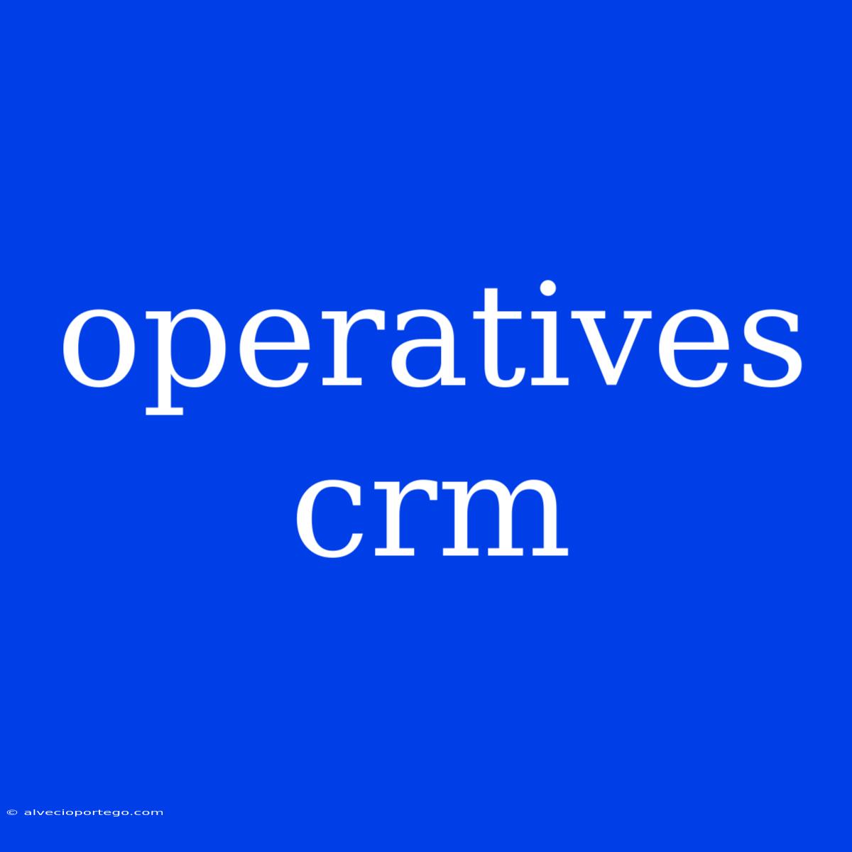 Operatives Crm