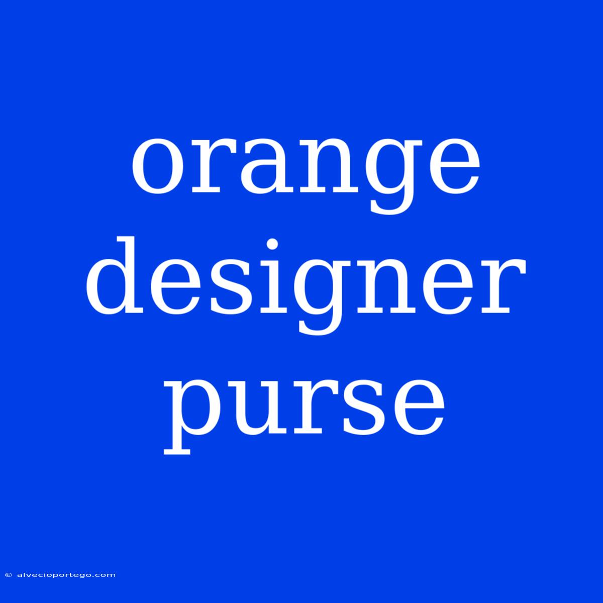 Orange Designer Purse