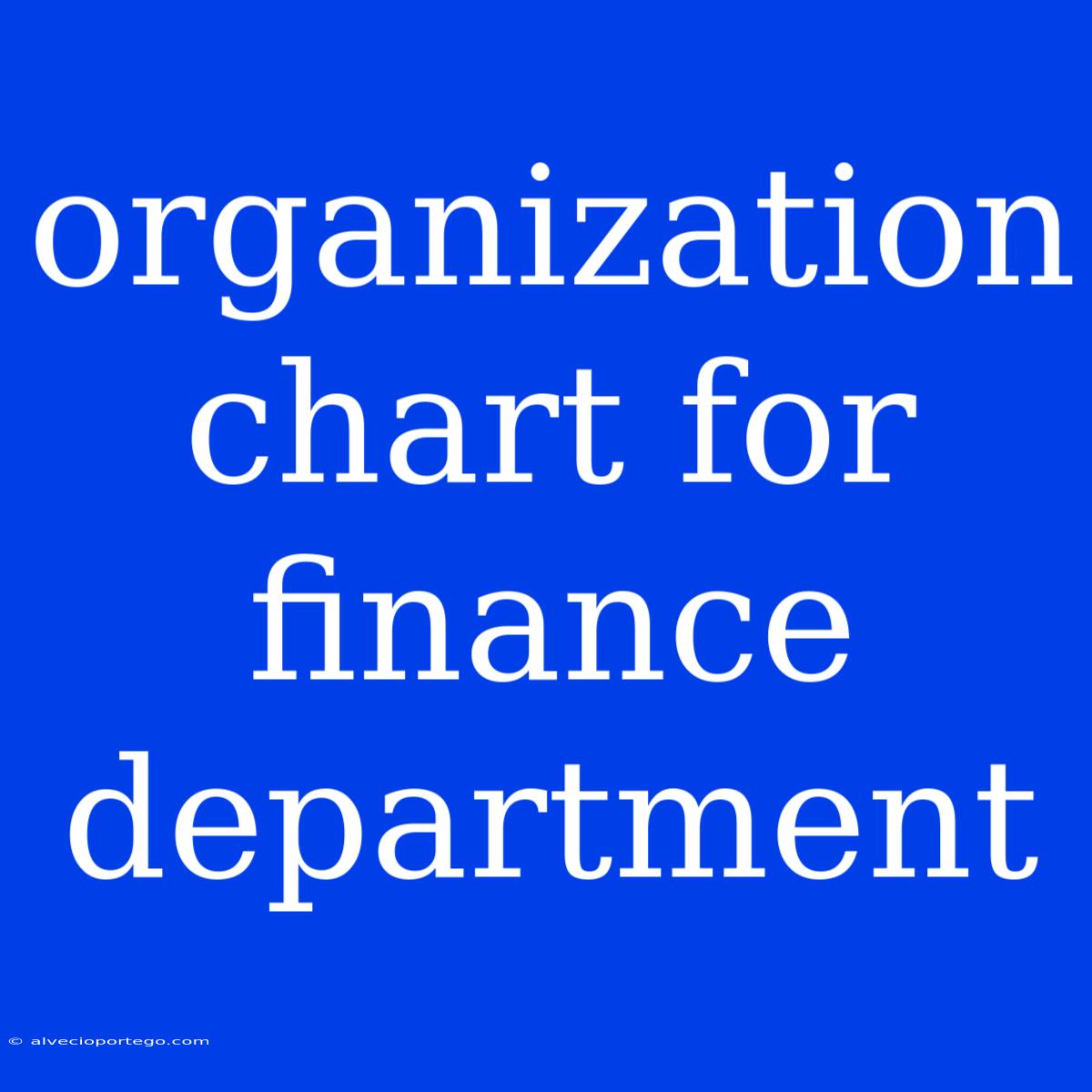 Organization Chart For Finance Department