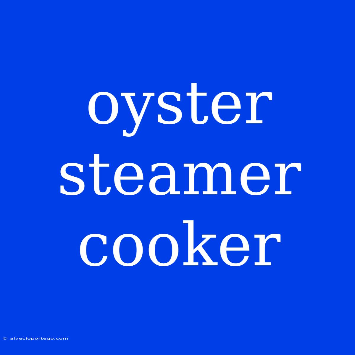 Oyster Steamer Cooker