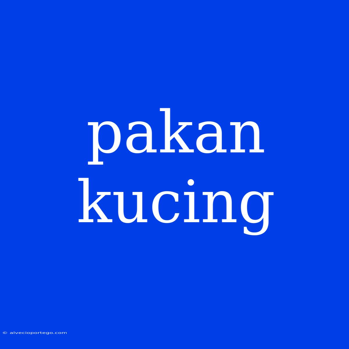 Pakan Kucing