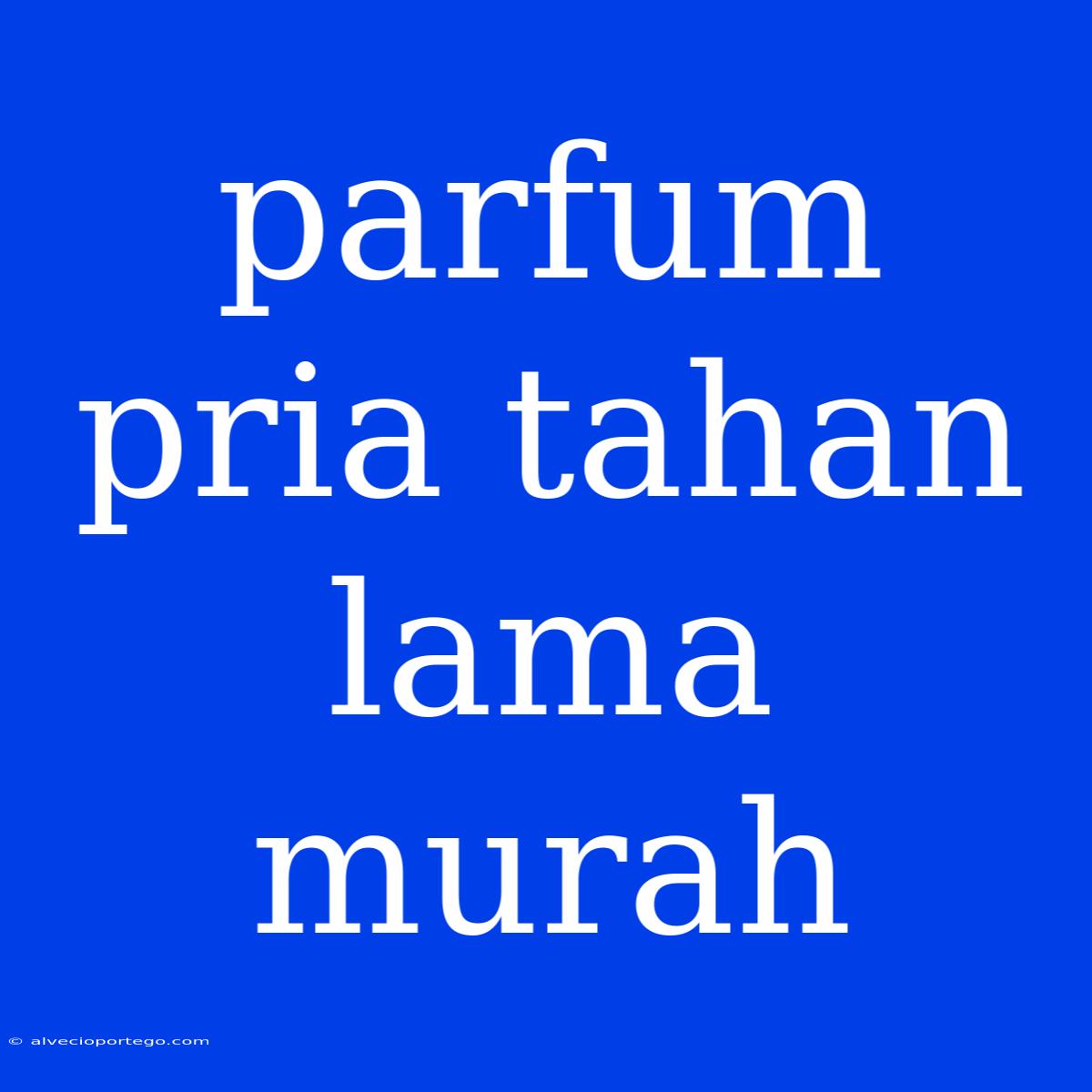 Parfum Pria Tahan Lama Murah