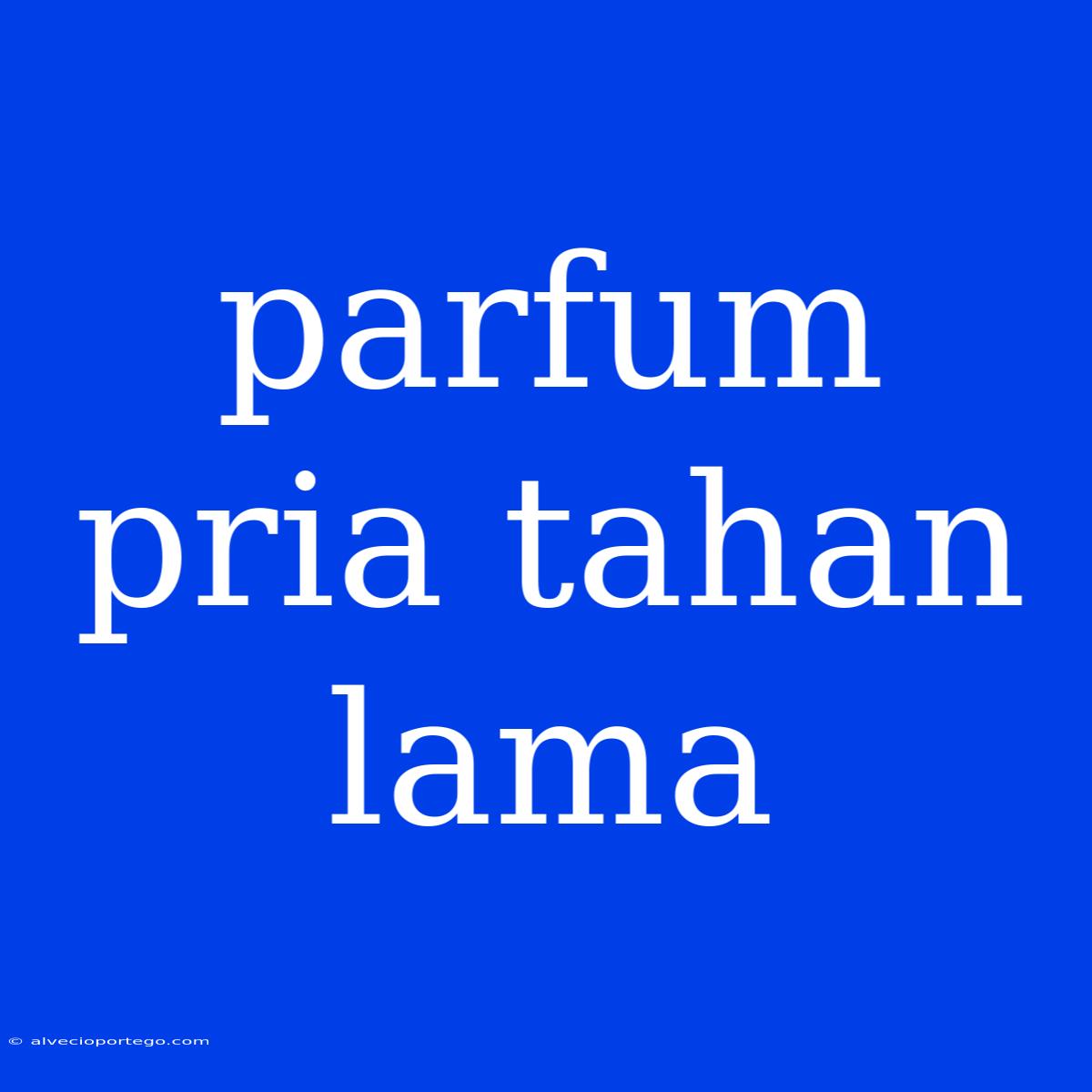 Parfum Pria Tahan Lama