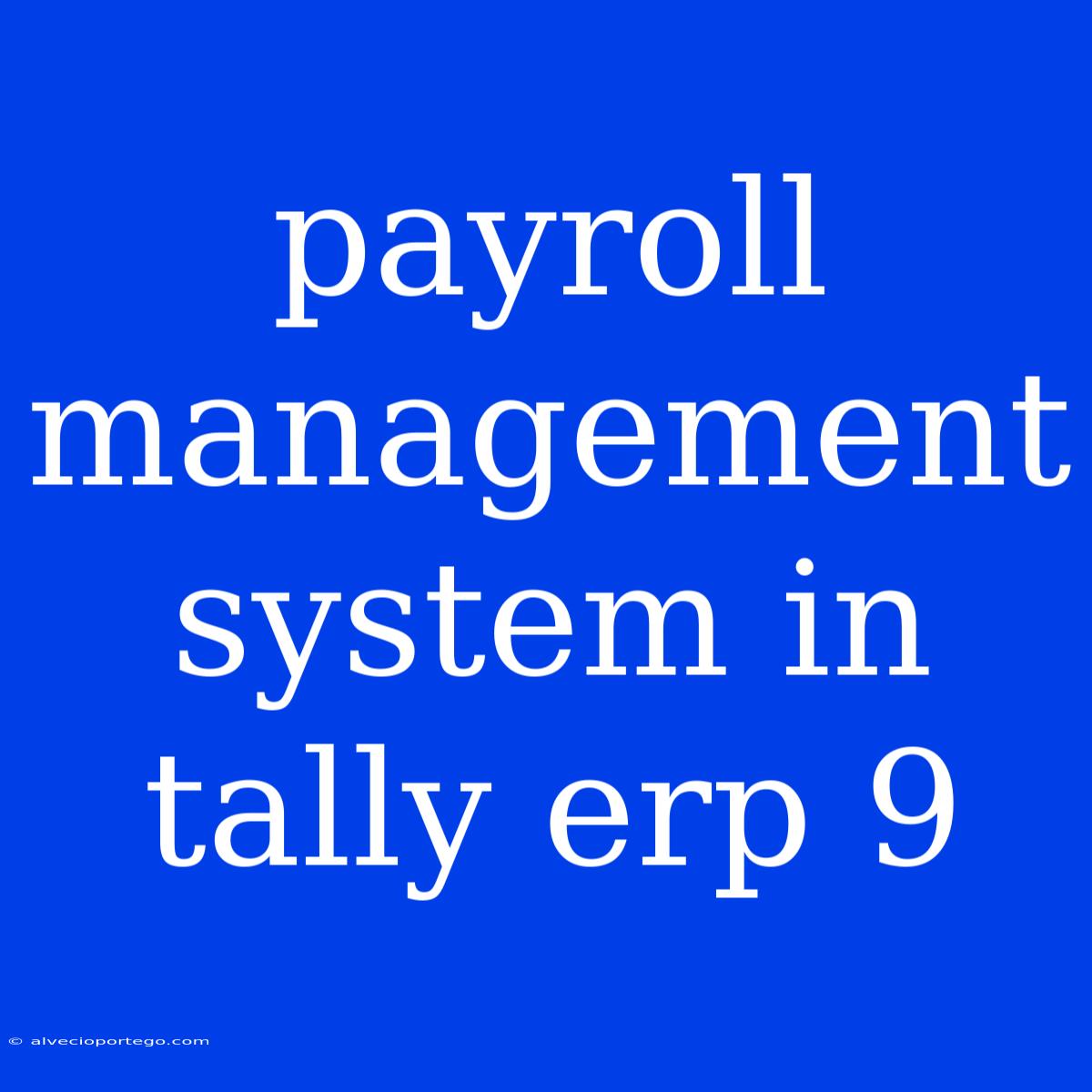 Payroll Management System In Tally Erp 9