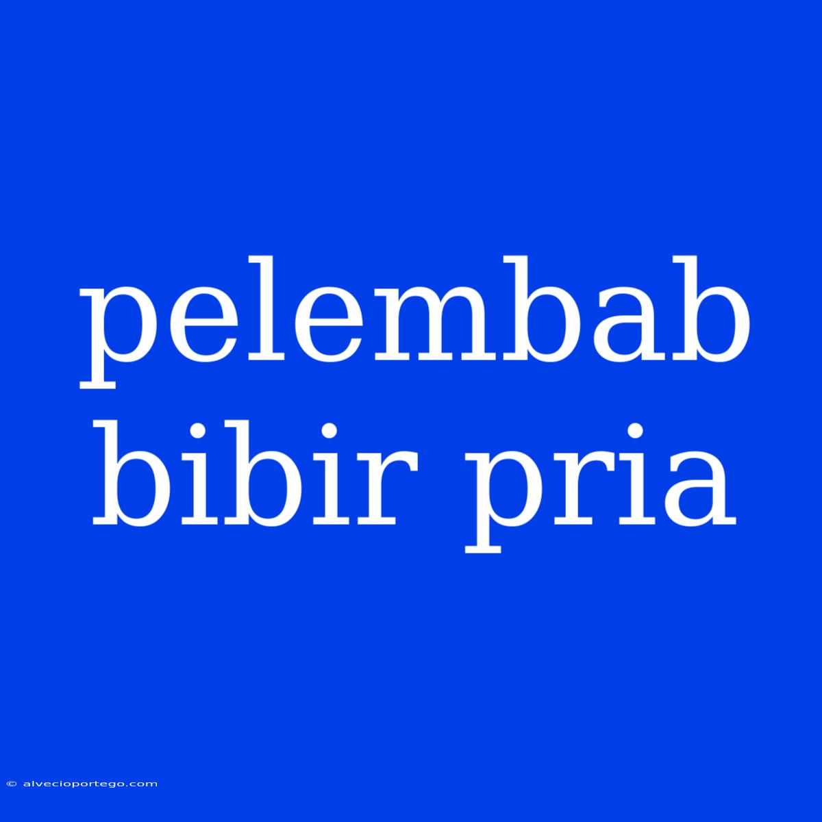 Pelembab Bibir Pria