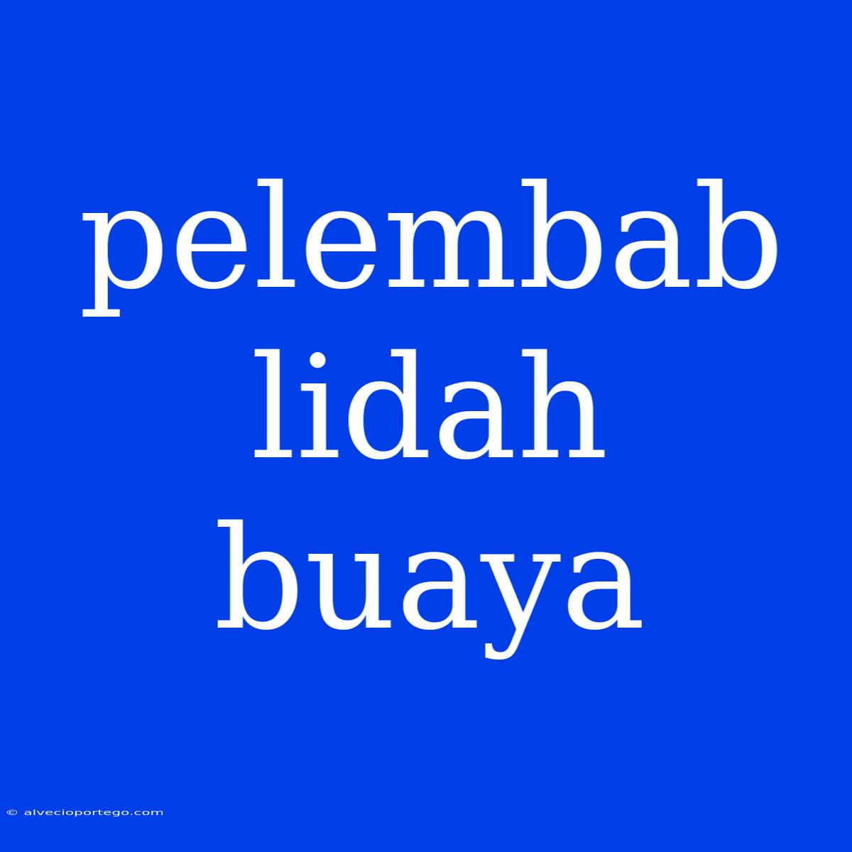 Pelembab Lidah Buaya