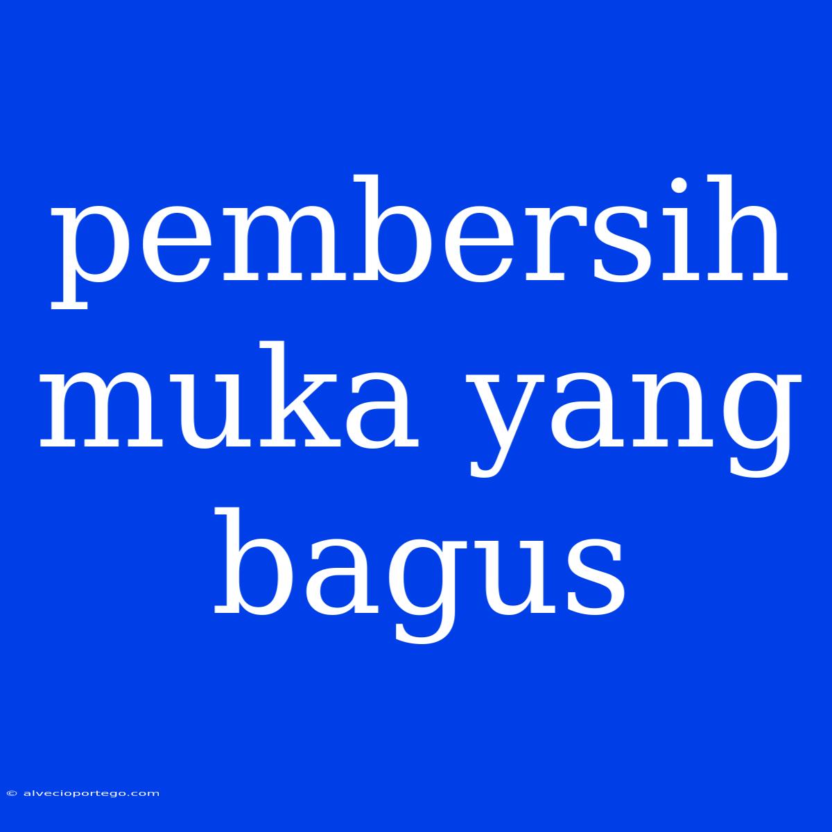 Pembersih Muka Yang Bagus