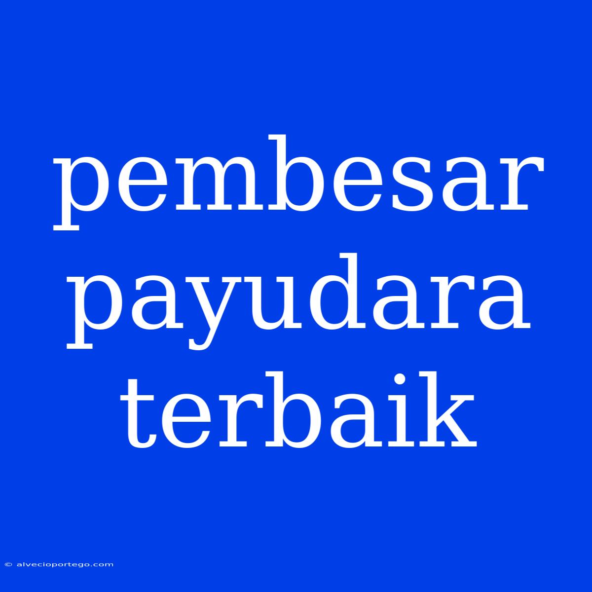 Pembesar Payudara Terbaik