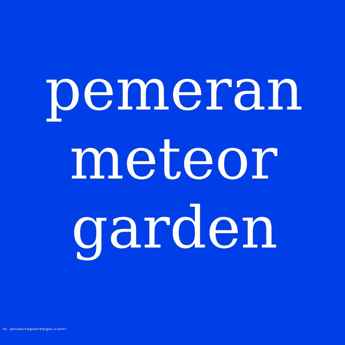 Pemeran Meteor Garden