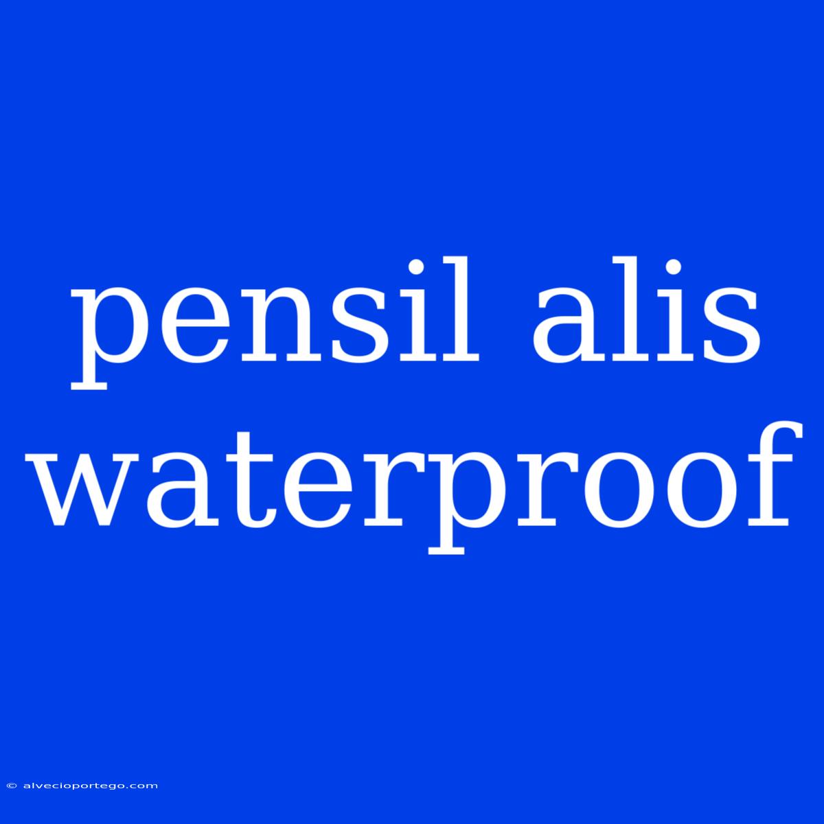 Pensil Alis Waterproof