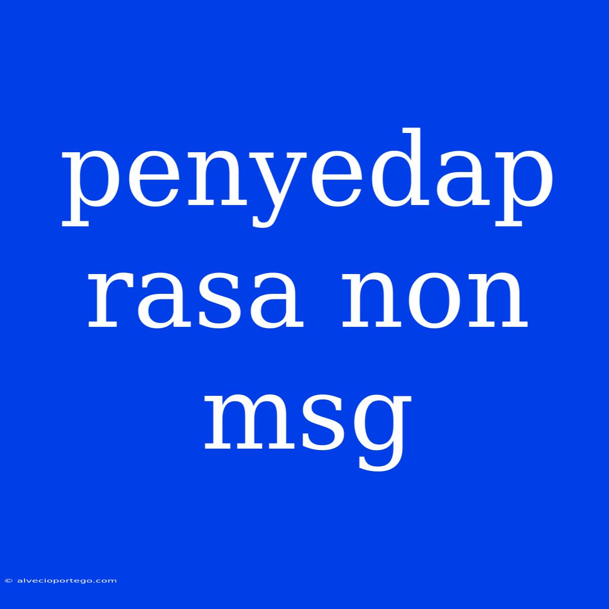 Penyedap Rasa Non Msg