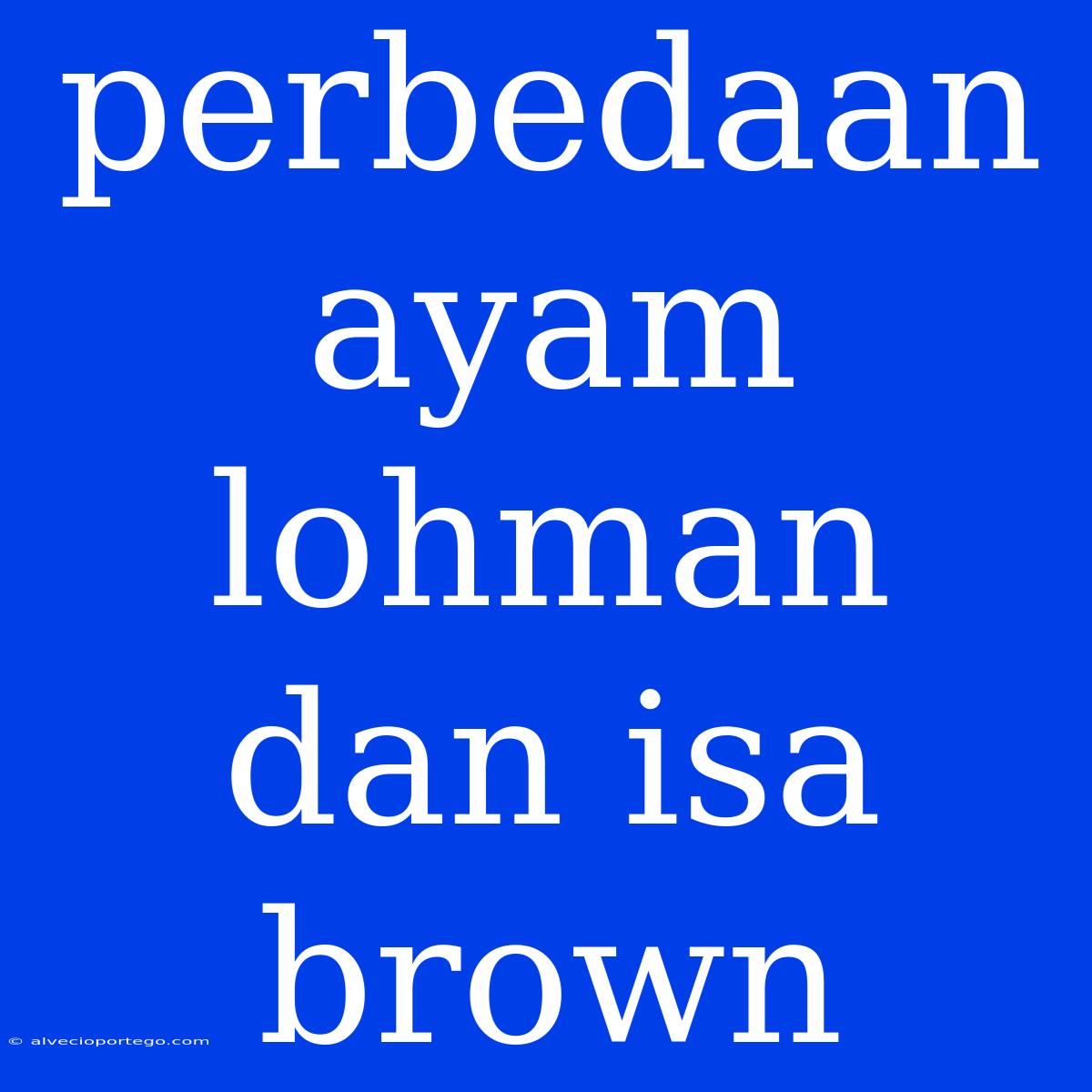 Perbedaan Ayam Lohman Dan Isa Brown