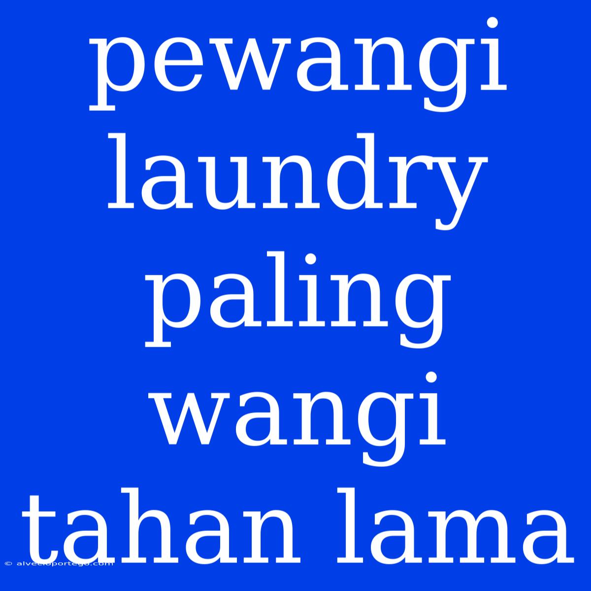 Pewangi Laundry Paling Wangi Tahan Lama