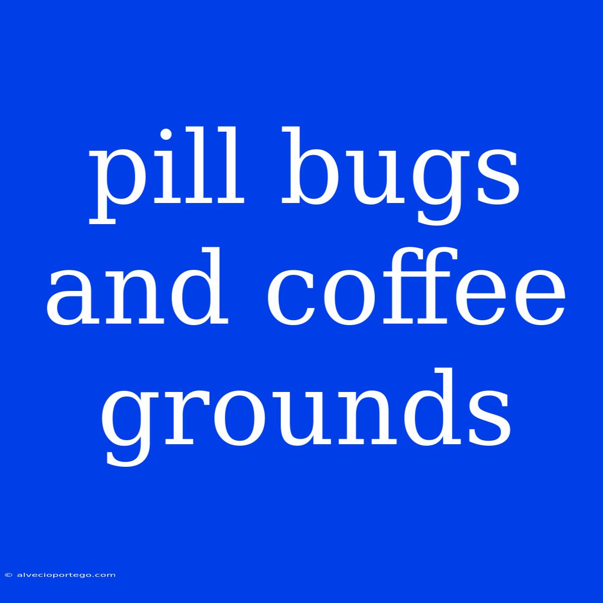 Pill Bugs And Coffee Grounds