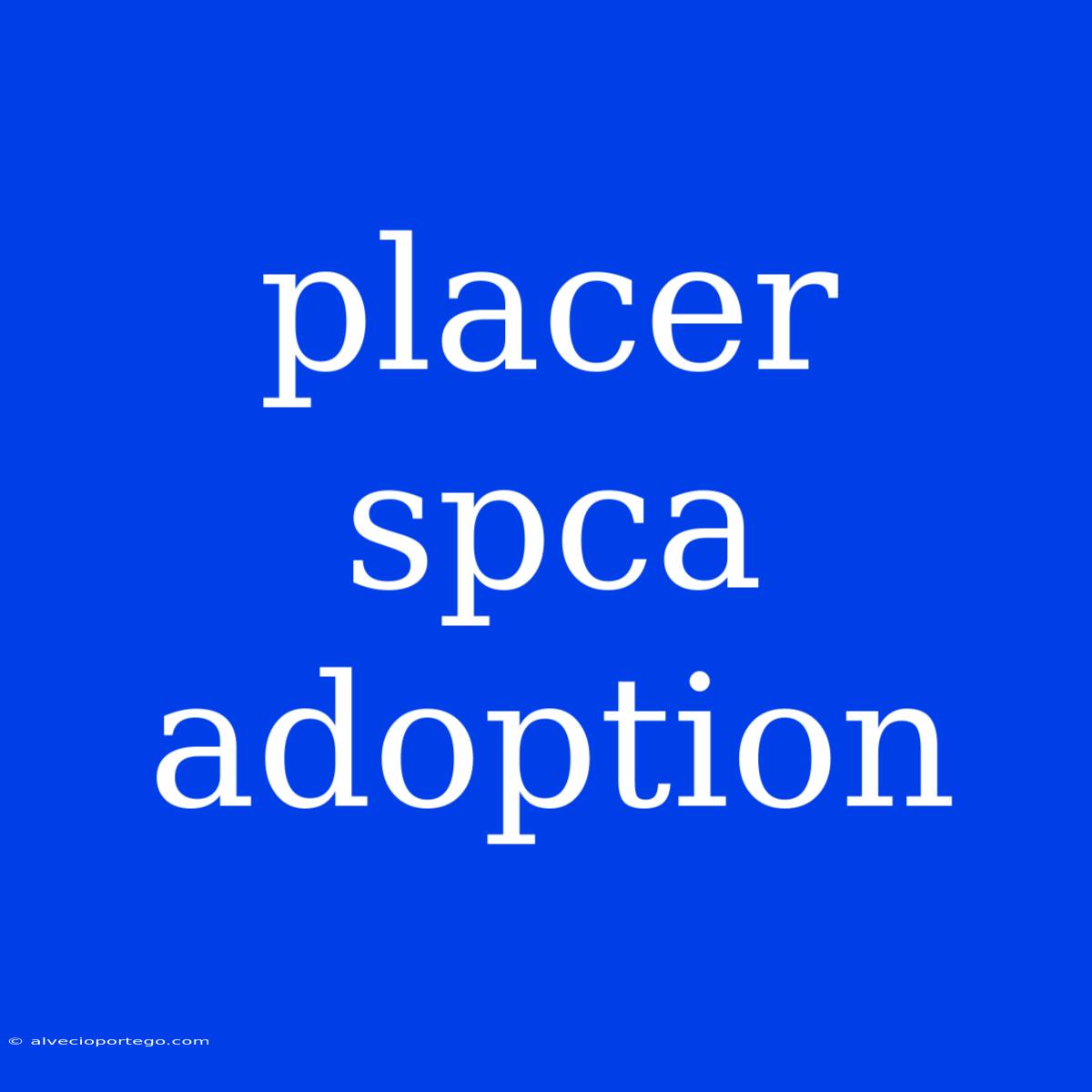 Placer Spca Adoption