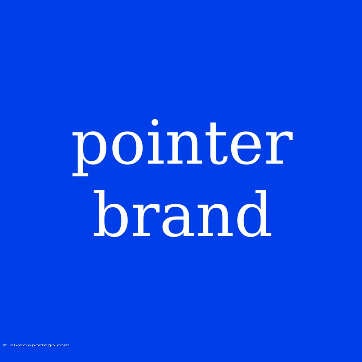 Pointer Brand