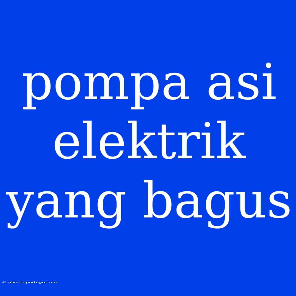 Pompa Asi Elektrik Yang Bagus