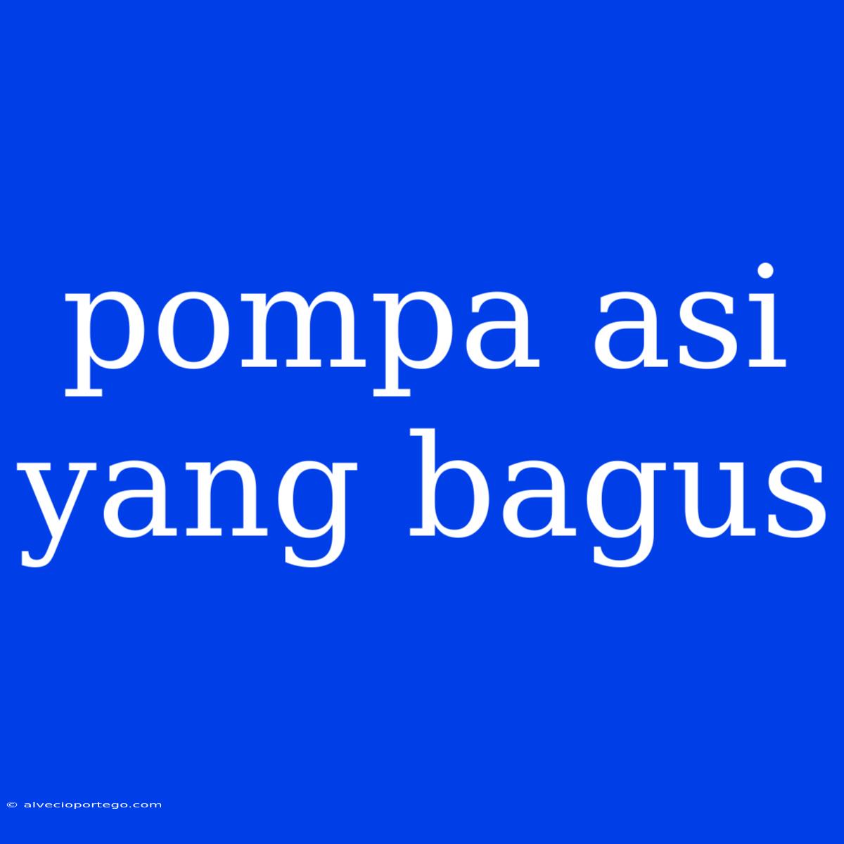 Pompa Asi Yang Bagus